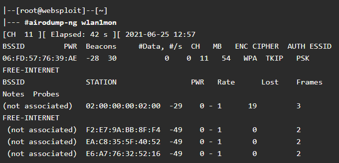 Airodump-ng